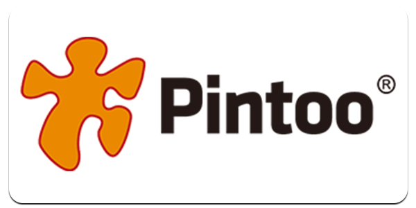 Pintoo